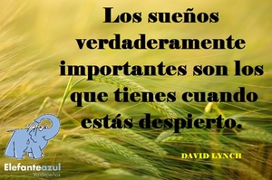 Frase del día Elefante Azul Valdepeñas