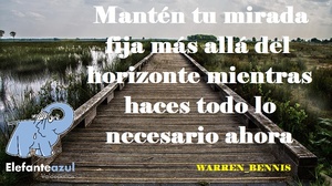 Frase del día Elefante Azul Valdepeñas