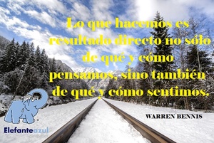 Frase del día Elefante Azul Valdepeñas