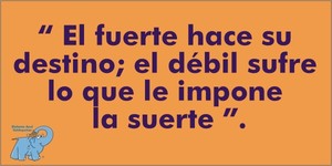 Frase del día Elefante Azul Valdepeñas