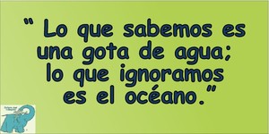 Frase del día Elefante Azul Valdepeñas