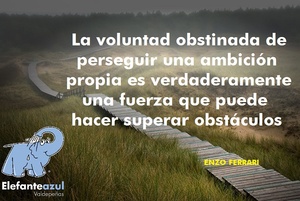 Frase del día Elefante Azul Valdepeñas