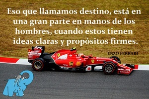 Frase del día Elefante Azul Valdepeñas