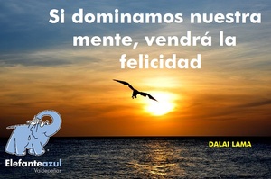 Frase del día Elefante Azul Valdepeñas