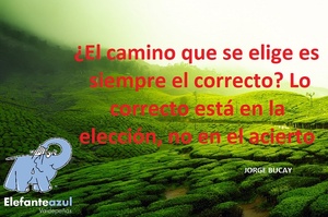 Frase del día Elefante Azul Valdepeñas