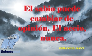 Frase del día Elefante Azul Valdepeñas