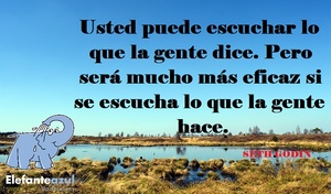Frase del día Elefante Azul Valdepeñas