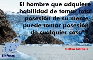 Frase del día Elefante Azul Valdepeñas