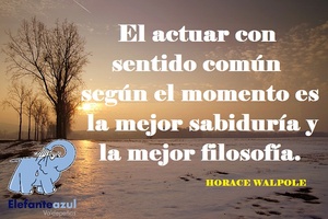 Frase del día Elefante Azul Valdepeñas