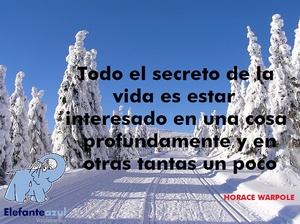 Frase del día Elefante Azul Valdepeñas