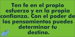 Frase del día Elefante Azul Valdepeñas