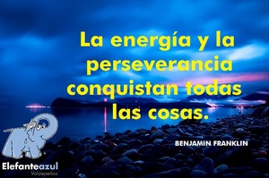 Frase del día Elefante Azul Valdepeñas
