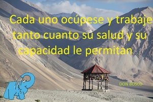 Frase del día Elefante Azul Valdepeñas