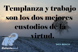 Frase del día Elefante Azul Valdepeñas