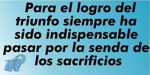 Frase del día Elefante Azul Valdepeñas