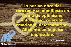 Frase del día Elefante Azul Valdepeñas