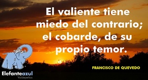 Frase del día Elefante Azul Valdepeñas