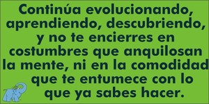 Frase del día Elefante Azul Valdepeñas