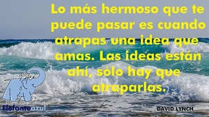Frase del día Elefante Azul Valdepeñas