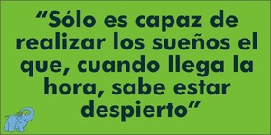 Frase del día Elefante Azul Valdepeñas