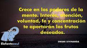 Frase del día Elefante Azul Valdepeñas