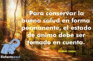 Frase del día Elefante Azul Valdepeñas