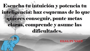 Frase del día Elefante Azul Valdepeñas