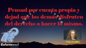 Frase del día Elefante Azul Valdepeñas