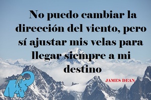 Frase del día Elefante Azul Valdepeñas