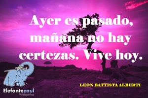 Frase del día Elefante Azul Valdepeñas
