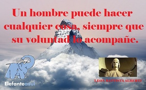 Frase del día Elefante Azul Valdepeñas