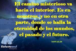 Frase del día Elefante Azul Valdpeñas