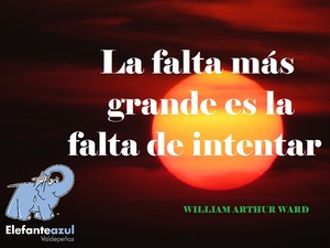 Frase del día Elefante Azul Valdepeñas