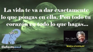 Frase del día Elefante Azul Valdepeñas