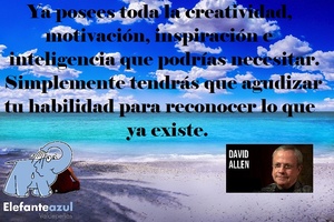 Frase del día Elefante Azul Valdepeñas
