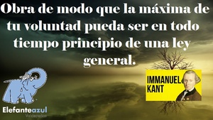 Frase del día Elefante Azul Valdepeñas