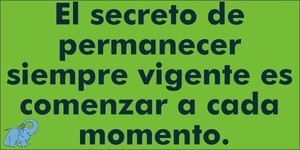 Frase del día Elefante Azul Valdepeñas