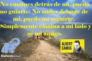 Frase del día Elefante Azul Valdepeñas