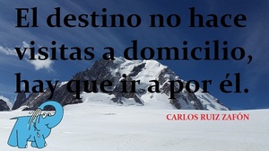 Frase del día Elefante Azul Valdepeñas