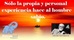 Frase del día Elefante Azul Valdepeñas