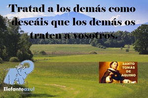 Frase de hoy Elefante Azul Valdepeñas