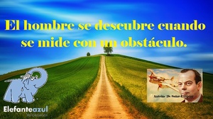 Frase del día Elefante Azul Valdepeñas