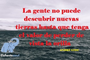 Frase del día Elefante Azul Valdepeñas