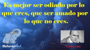 Frase del día Elefante Azul Valdepeñas