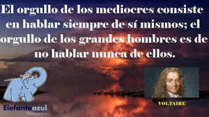 Frase del día Elefante Azul Valdepeñas