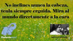 Frase del día Elefante Azul Valdepeñas