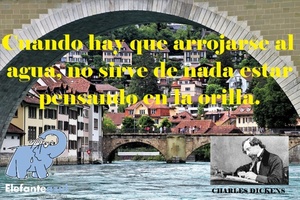 frase del día Elefante Azul Valdepeñas