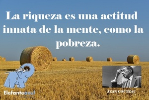 Frase del día Elefante Azul Valdepeñas