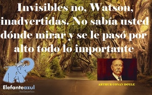 Frase del día Elefante azul Valdepeñas