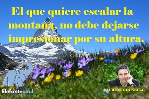 Frase del día Elefante Azul Valdepeñas
